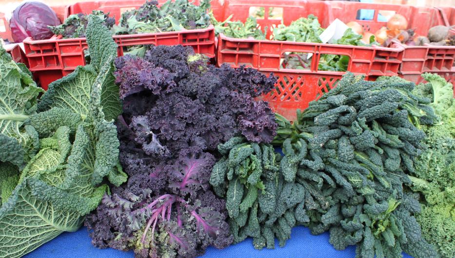 John Jones market gardener